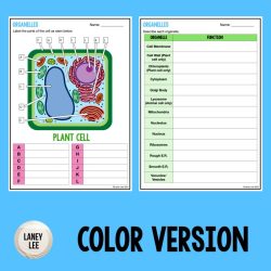 Cell structures and organelles worksheet