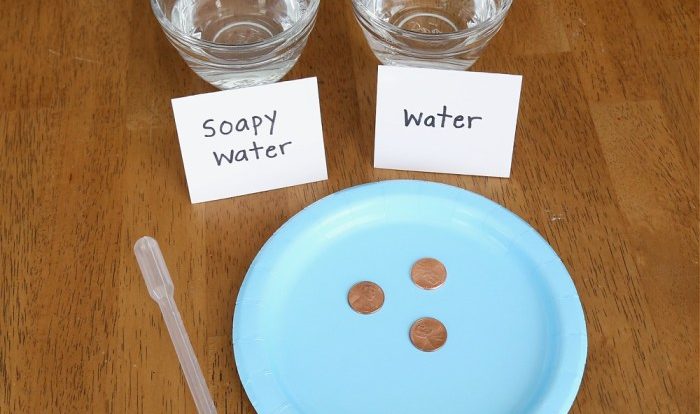 Drops of water on a penny lab worksheet