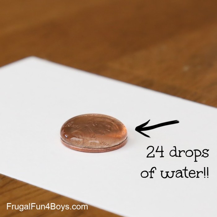 Drops of water on a penny lab worksheet