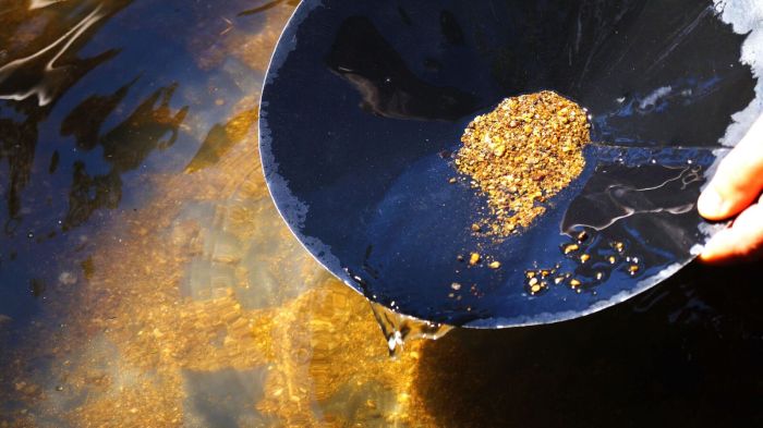 All an alchemist needs when panning for gold