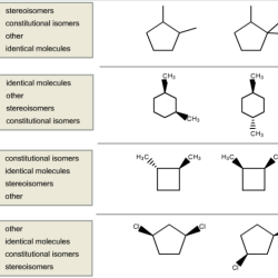 Which of the following molecules are constitutional isomers