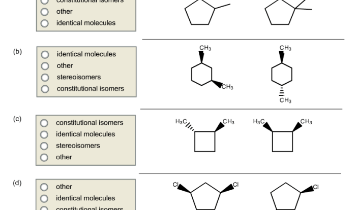 Which of the following molecules are constitutional isomers